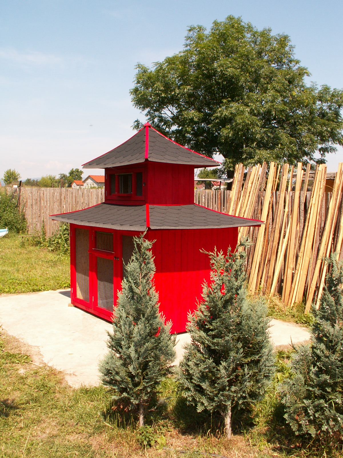 PICT00010.JPG