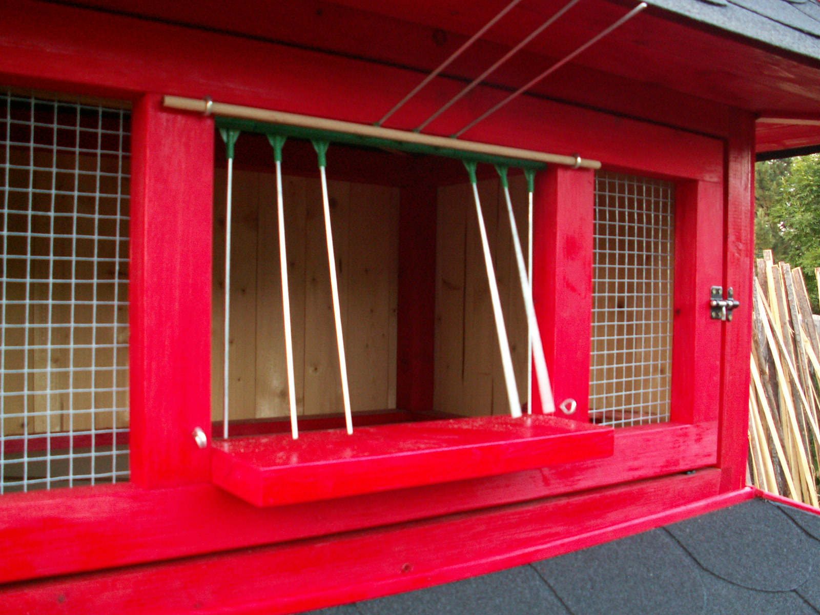 PICT0008.JPG